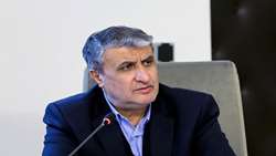 کاهش ۴۰ میلیون تنی ضایعات بخش کشاورزی با پرتودهی